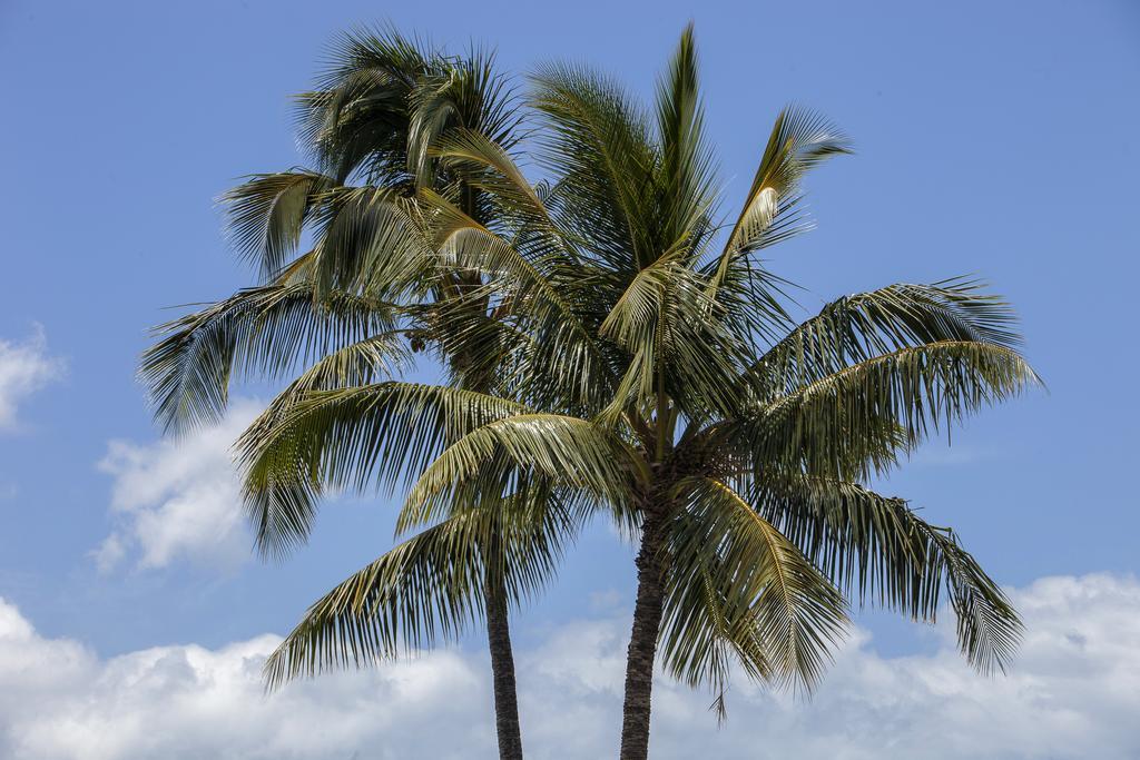 Maui Parkshore By Maui Condo And Home Wailea (Maui) Exterior foto